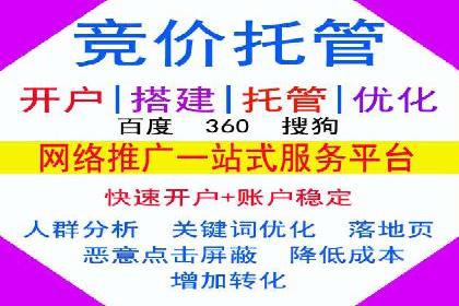 行业巨头的SEM广告投放策略揭秘